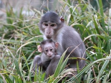 Zoo Landau in der Pfalz