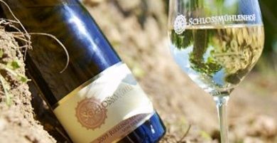 Weingut Schlossmühlenhof