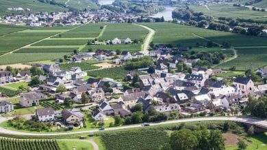 Weingut & Gästehaus Longen