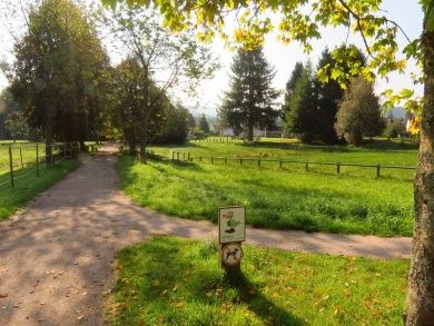 Hotel-Restaurant-Gasthof Blick zum Maimont