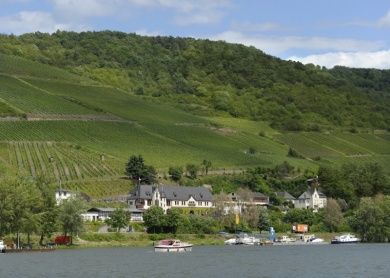 Ferienwohnung Riesling