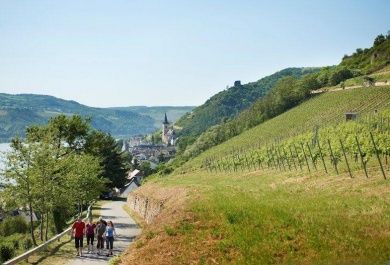 Ferienwohnung Riesling