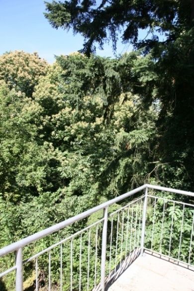 Ferienhaus Waldhäuschen Annweiler