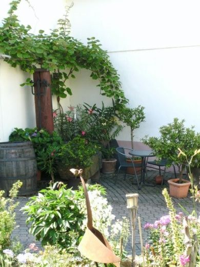 Weingut Silbernagel und Ferienwohnung in der Pfalz