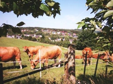  Ferienwohnung Zilligen in Stadtkyll
