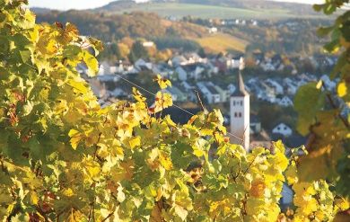 Weinhaus Dawen-Weibler - Gästezimmer & Straußwirtschaft direkt am Saar-Hunsrücksteig
