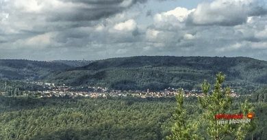 Ferienwohnung Renate - Urlaub im Naturpark Pfälzer Wald