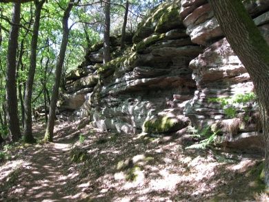 Ferienwohnung Renate - Urlaub im Naturpark Pfälzer Wald