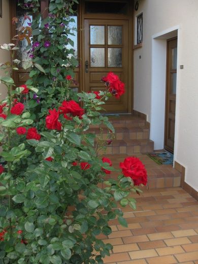 Ferienwohnung Renate - Urlaub im Naturpark Pfälzer Wald