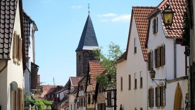 Buchert  Weingut | Gästehaus
