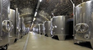 Ferienwohnung Riesling