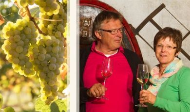 Ferienweingut Basten-Neu