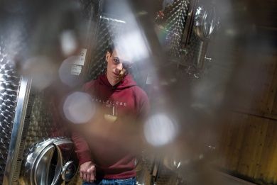 Weingut & Gästehaus Mühlhäuser an der südlichen Weinstraße