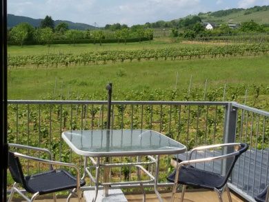 Gästehaus Kinn - Ferienwohnung an der Mosel