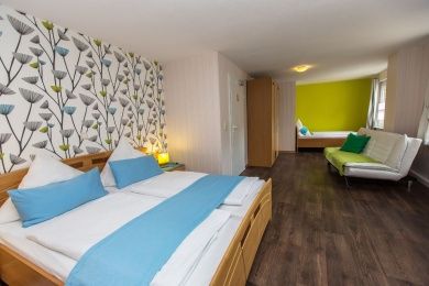 Haus Schwarzenberg - Ein guter Ausgangspunkt für Ihre Aktivitäten und Ferienwohnung mit Blick auf die Mosel (bis zu 4 Personen)