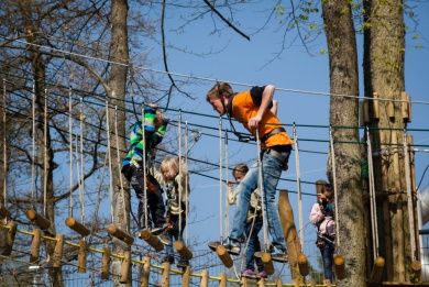 Waldkletterpark Leiwen an der Mosel