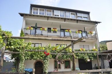 Pension & Weingut Wendland