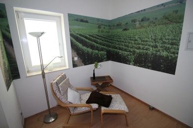 Ferienwohnung im Hofgut und Winzerhof Schädler