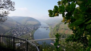 Gästehaus Mona Lisa - Neef Mosel
