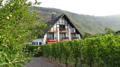 Haus Weingarten – Ferienwohnungen, Appartements & Gästezimmer