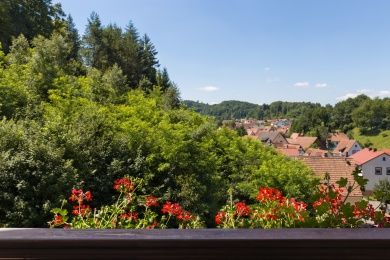Hotel - Restaurant Die kleine Blume im Dahner Felsenland