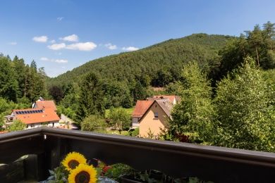Hotel - Restaurant Die kleine Blume im Dahner Felsenland