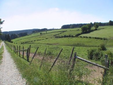 Ferienhaus Seeblick