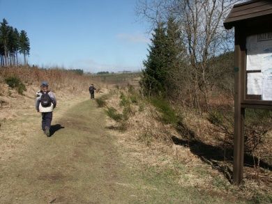 Ferienhaus Seeblick