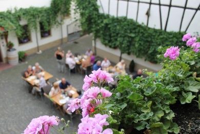 WEINGUT ALT - GÄSTEZIMMER - APARTMENTS - STRAUßWIRTSCHAFT 