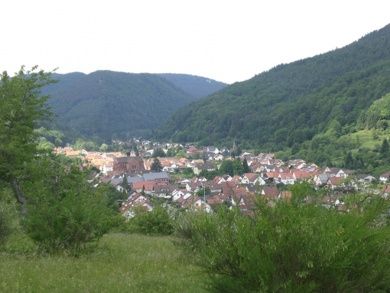 4-Sterne-Ferienwohnung (DTV-Klassifizierung) - Am Waltersbach in Eußerthal - Pfalz