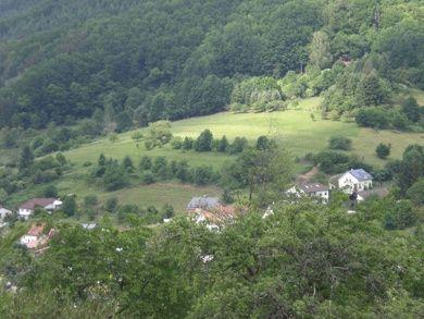 4-Sterne-Ferienwohnung (DTV-Klassifizierung) - Am Waltersbach in Eußerthal - Pfalz