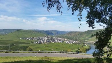 Gästehaus Bollig - Ihr Zuhause für die Ferienzeit an der Mosel