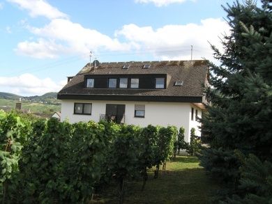Gästehaus Thomas in Leiwen