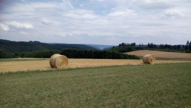 Hotel Haus Christa in Bad Bertrich