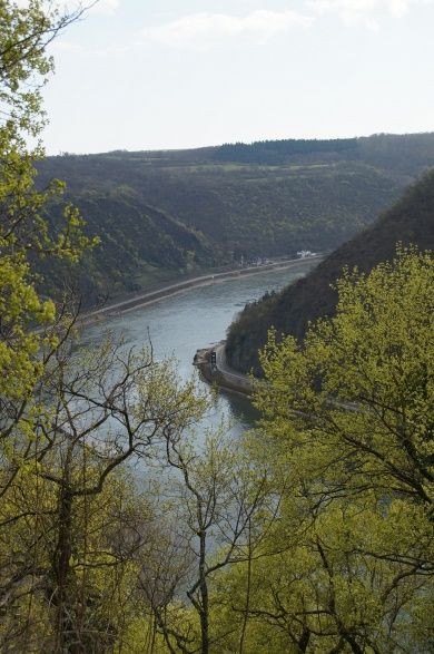 Gästehaus / Pension / Ferienwohnung Scheid - Rheintalblick