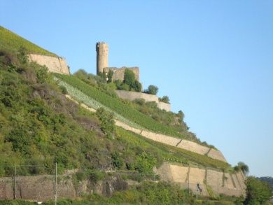 Ferienwohnungen mit Rheinblick in Rheindiebach bei Bacharach 