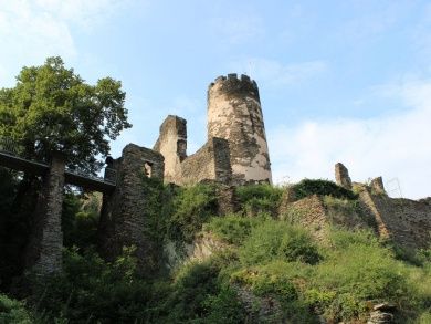Ferienwohnungen mit Rheinblick in Rheindiebach bei Bacharach 