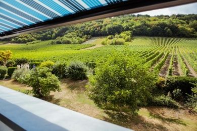 Feriendomizil & Weingut Roussel mit Restaurant 