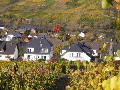 Feriendomizil & Weingut Roussel mit Restaurant 