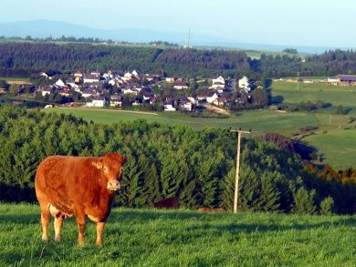 Ferienhaus Sabine & Ferienwohnung Rheingau & E-Ladestation