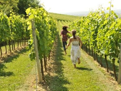 Gästequartier & Weingut Dätwyl