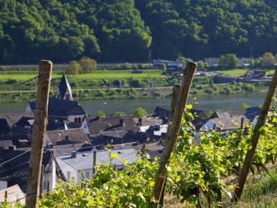 Ferienwohnungen im Weingut Sonneneck