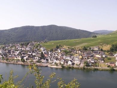 Ferienwohnung Preuss im Moseltal
