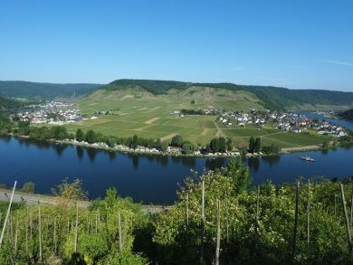 Ferienwohnung Preuss im Moseltal