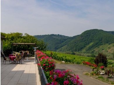 Ferienweingut Heidhof in Burg an der Mosel