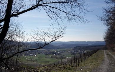 Weingut Lorenz & Ferienwohnungen