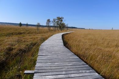 Bio Bed- & Breakfast La Petite Roer