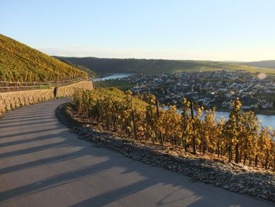 Weingut Lehnert-Veit - Gästezimmer - Straußwirtschaft - Moselgarten