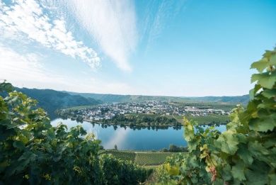 Weingut Lehnert-Veit - Gästezimmer - Straußwirtschaft - Moselgarten