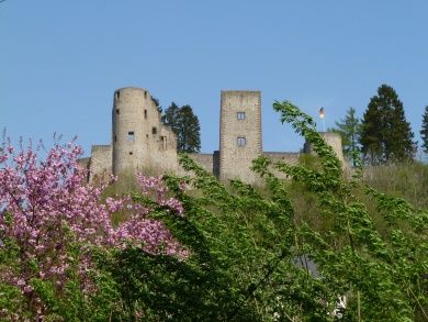 Feriendorf Reinskopf - Blockhäuser und Appartements im Herzen der Eifel